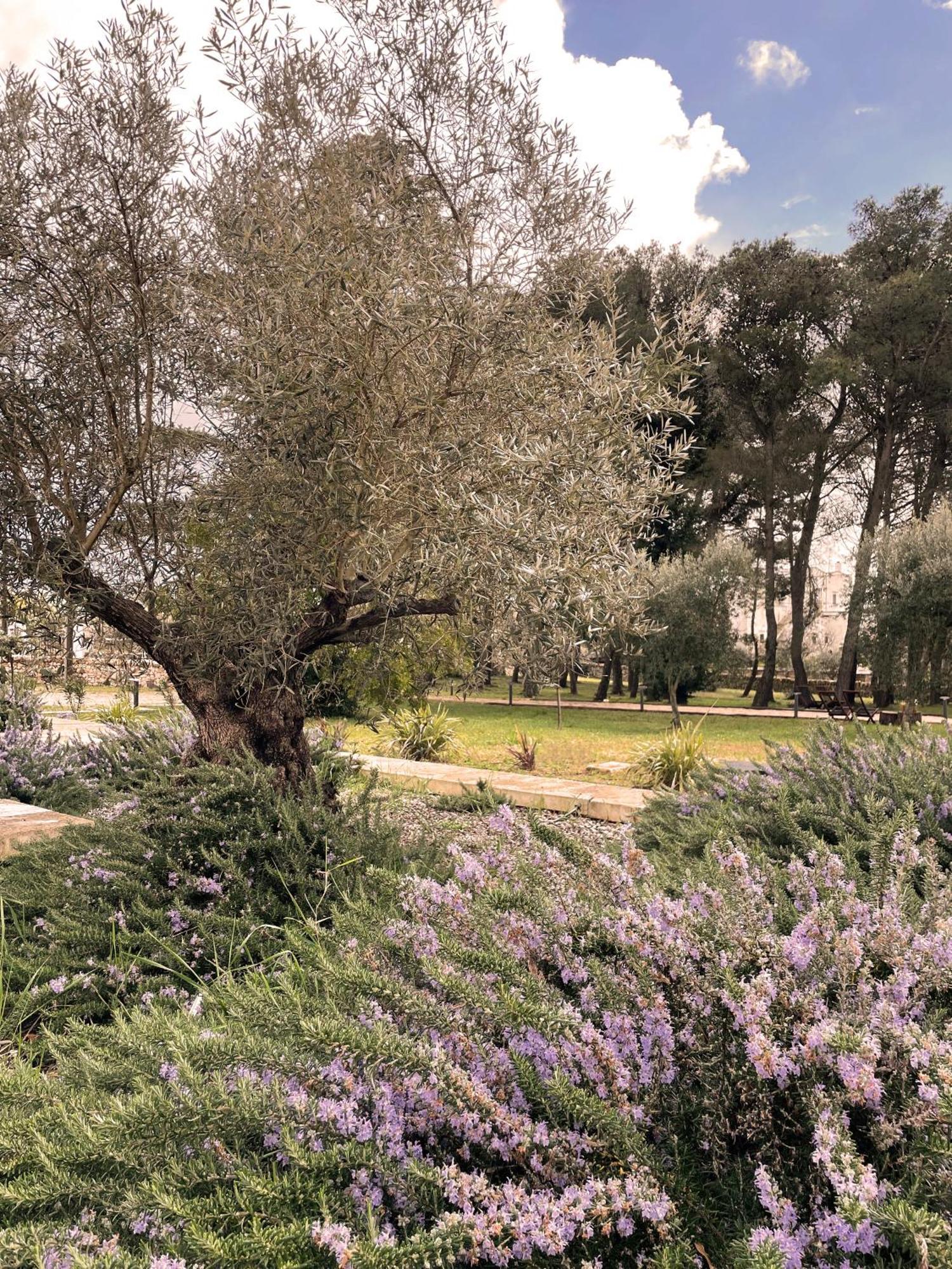 Trullo Panna Fragola - Exclusive Four Bedroom Villa & Private Pool Martina Franca Exterior foto